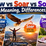 Saw vs Soar vs Sore: Meaning, Differences,